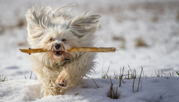 2shutterstock_221050084_Urheberrecht_Bildagentur-Zoonar_GmbH