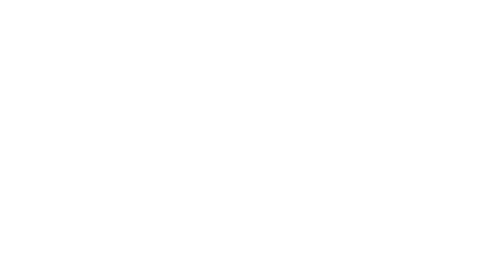 Logo_dogness_600px