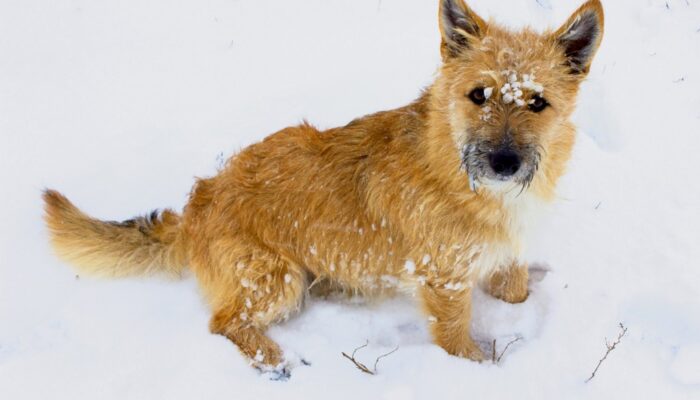 shutterstock_167600498_Urheberrecht_Raduga11