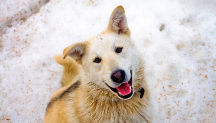 shutterstock_9952285_Urheberrecht_Hydromet