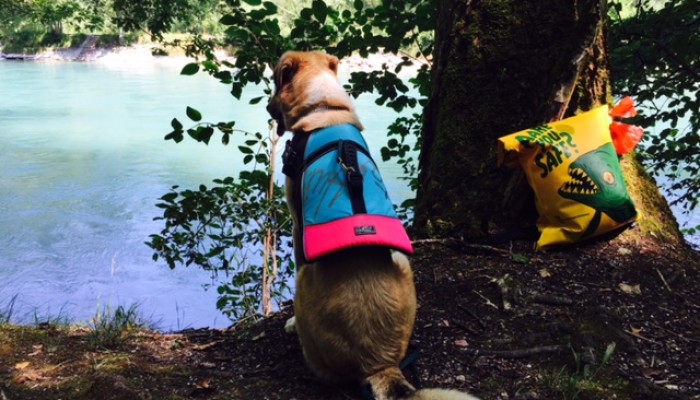 20160720 BlogPic_Hitzetag1