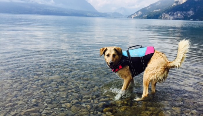 20160720_Blog_Hitzetag2