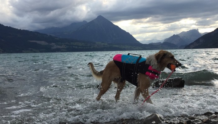 20160720_Blog_Hitzetag3