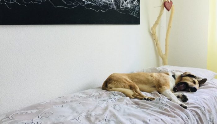 2018 Bild3 AirBnB sei Dank