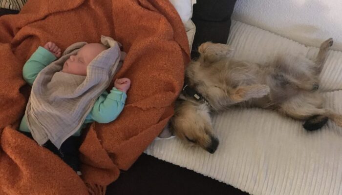 CC4694CF 85DC 4A74 A8E1 12207165CB8C