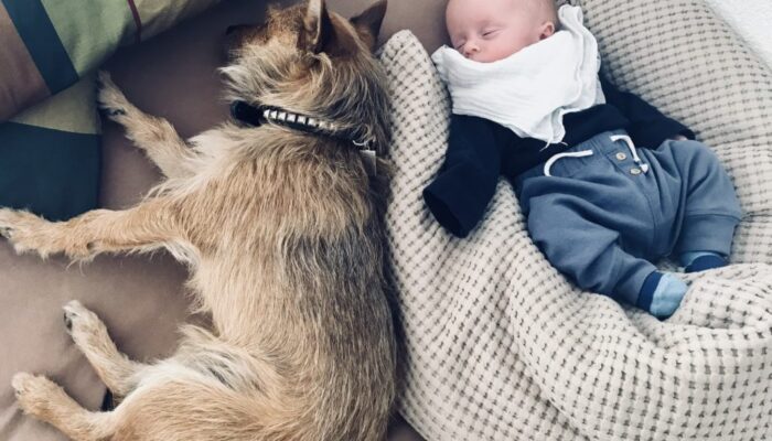 DECC2963 51D3 4059 994D F3AE0612D775