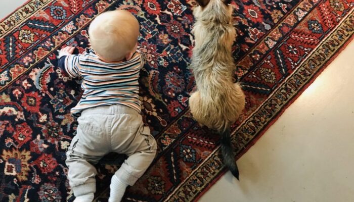 2020 Blog Familienzusammenführen