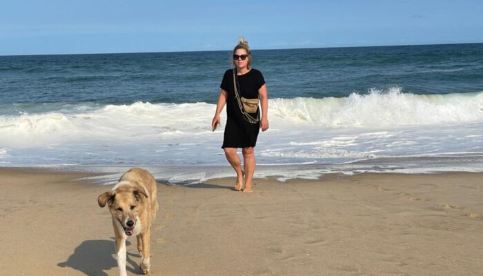 Blog Hundetraining 2026